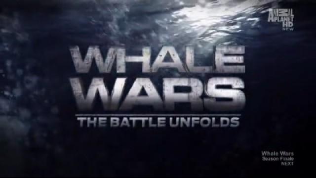 The Battle Unfolds