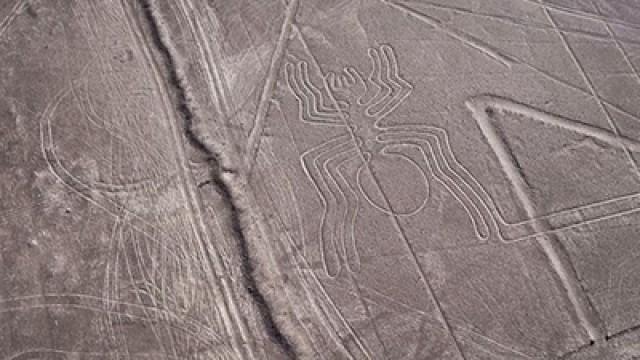 The secret of the Nazca Lines