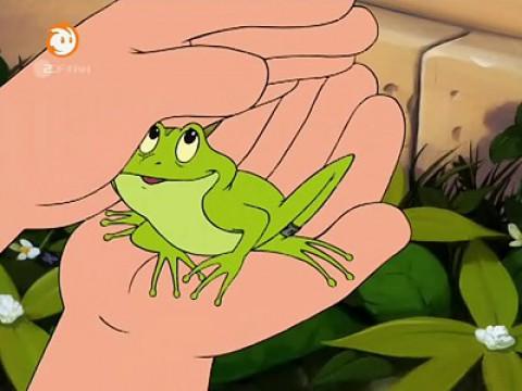 Der Wetterfrosch
