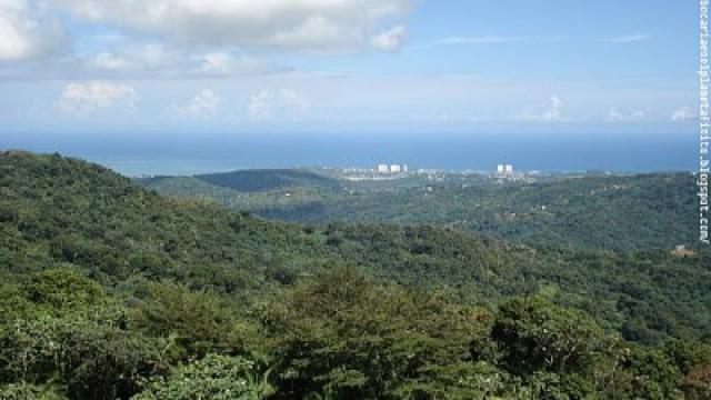 Puerto Rico con Llum Barrera