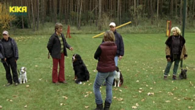 S27E13 - Hunde - Keks ist verschwunden