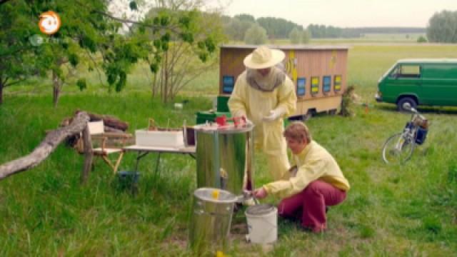 S31E03 - Bienen - Der Raub der Honigmacher