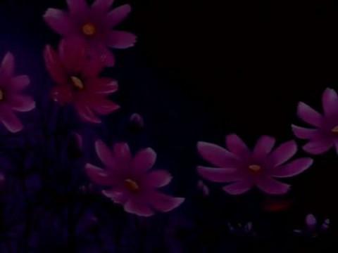 The Miracle Flower Key