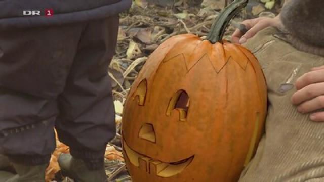 Halloween-græskar