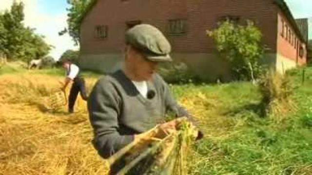 Høsten skal i hus