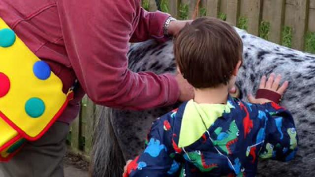 We're All Friends: Horse Riding by the Sea