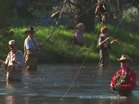 Cutthroat: Yellowstone River