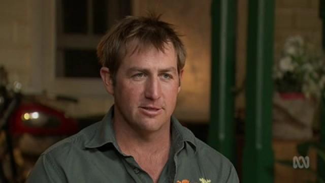 Splendour in the Grass