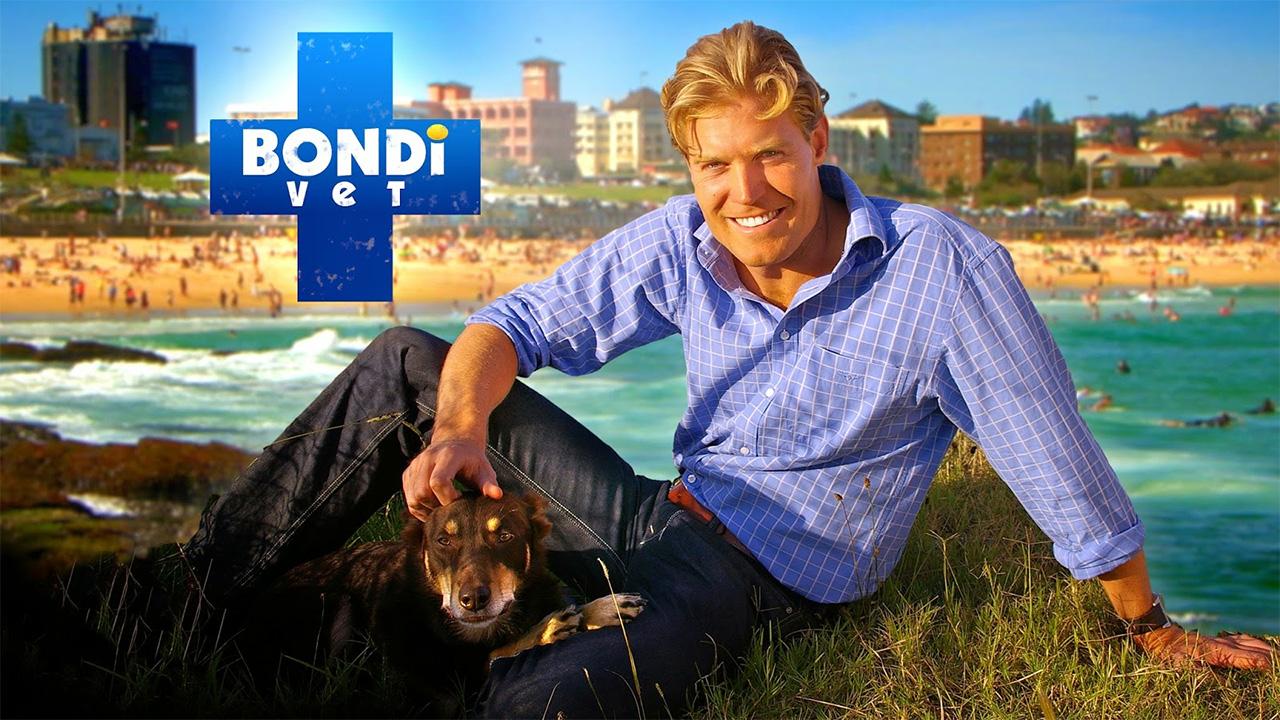 Bondi Vet