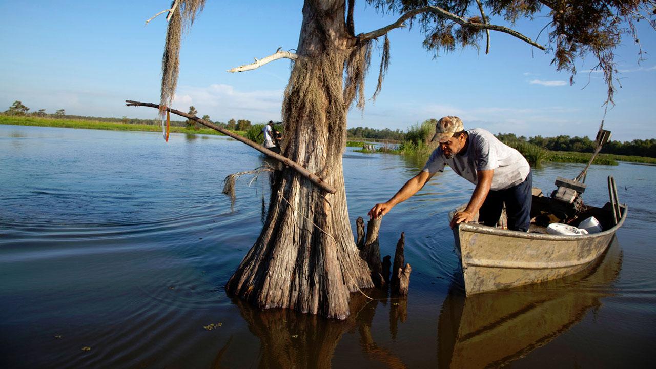 Swamp People