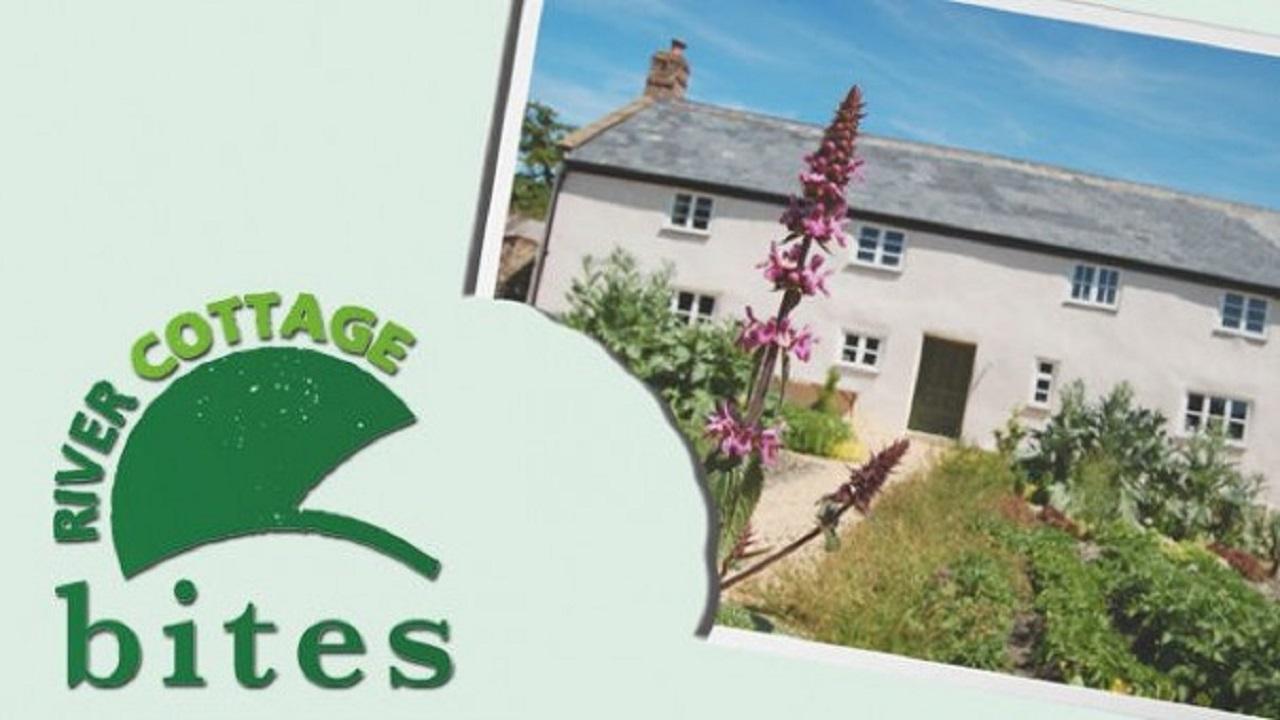 River Cottage Bites