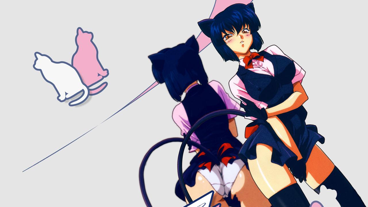 Usagi-chan de Cue!!