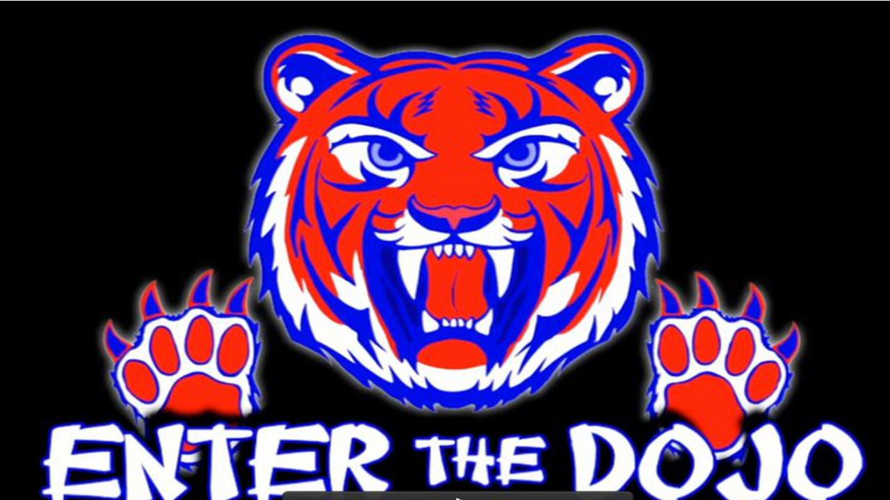 Enter the Dojo