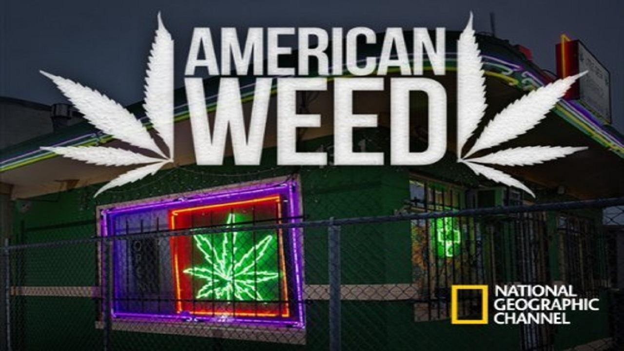 American Marijuana