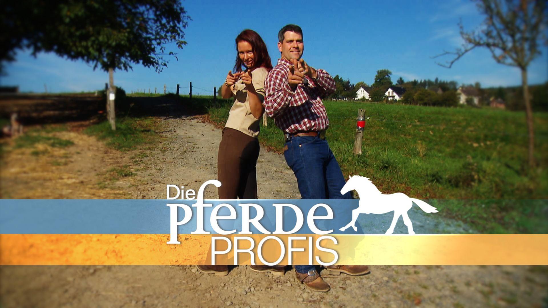 Die Pferdeprofis