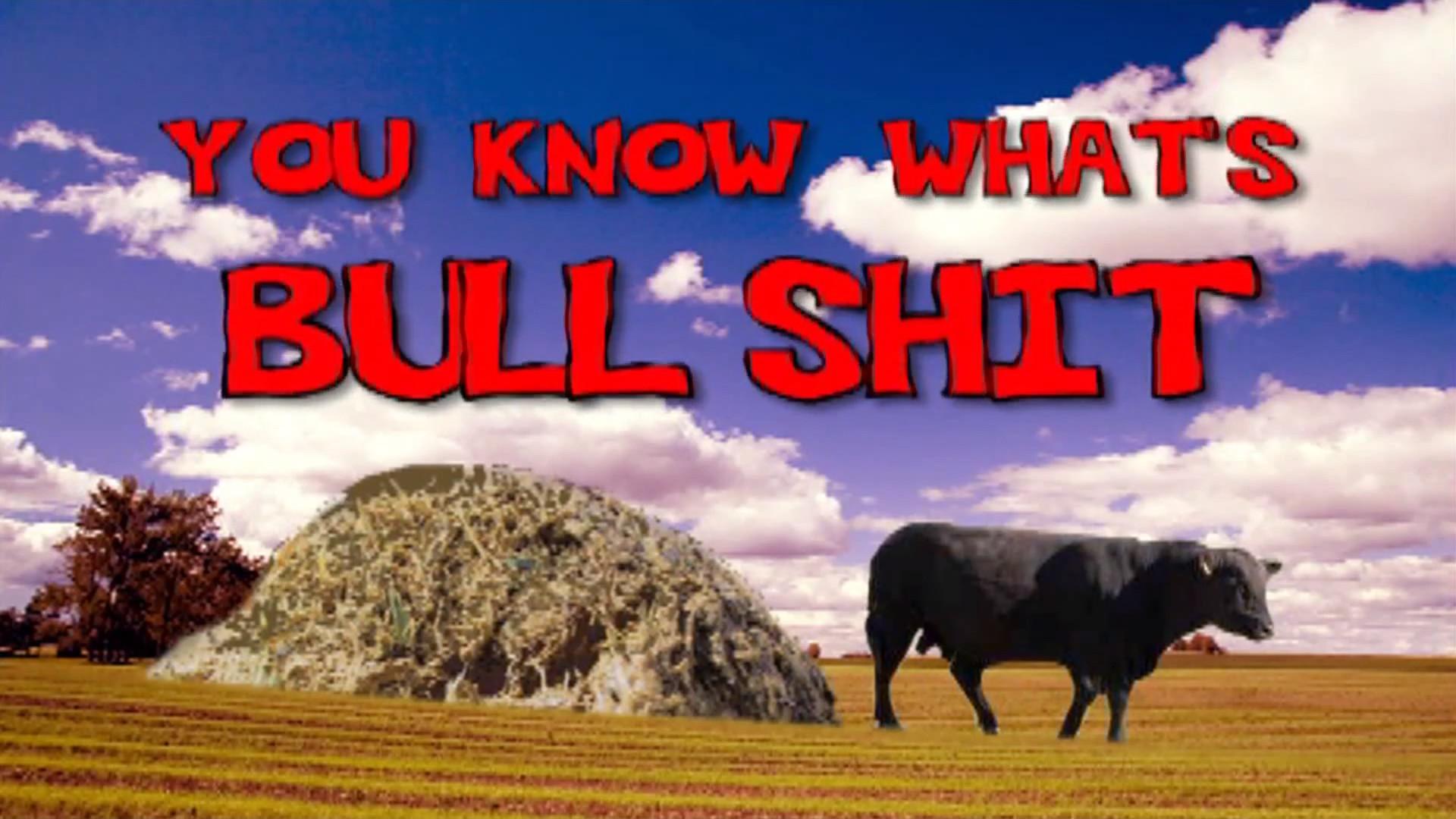 You Know What's Bullshit!?