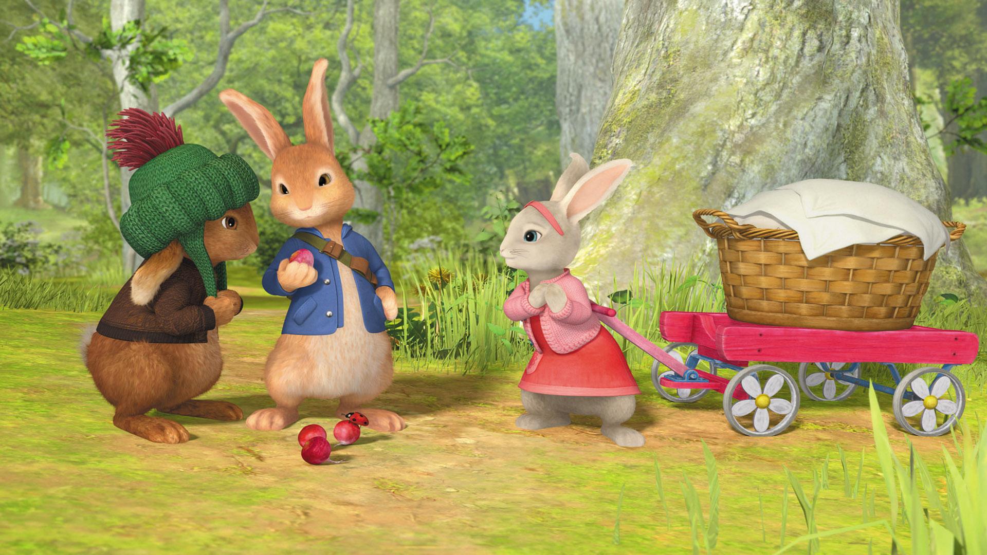 Peter Rabbit (2013)