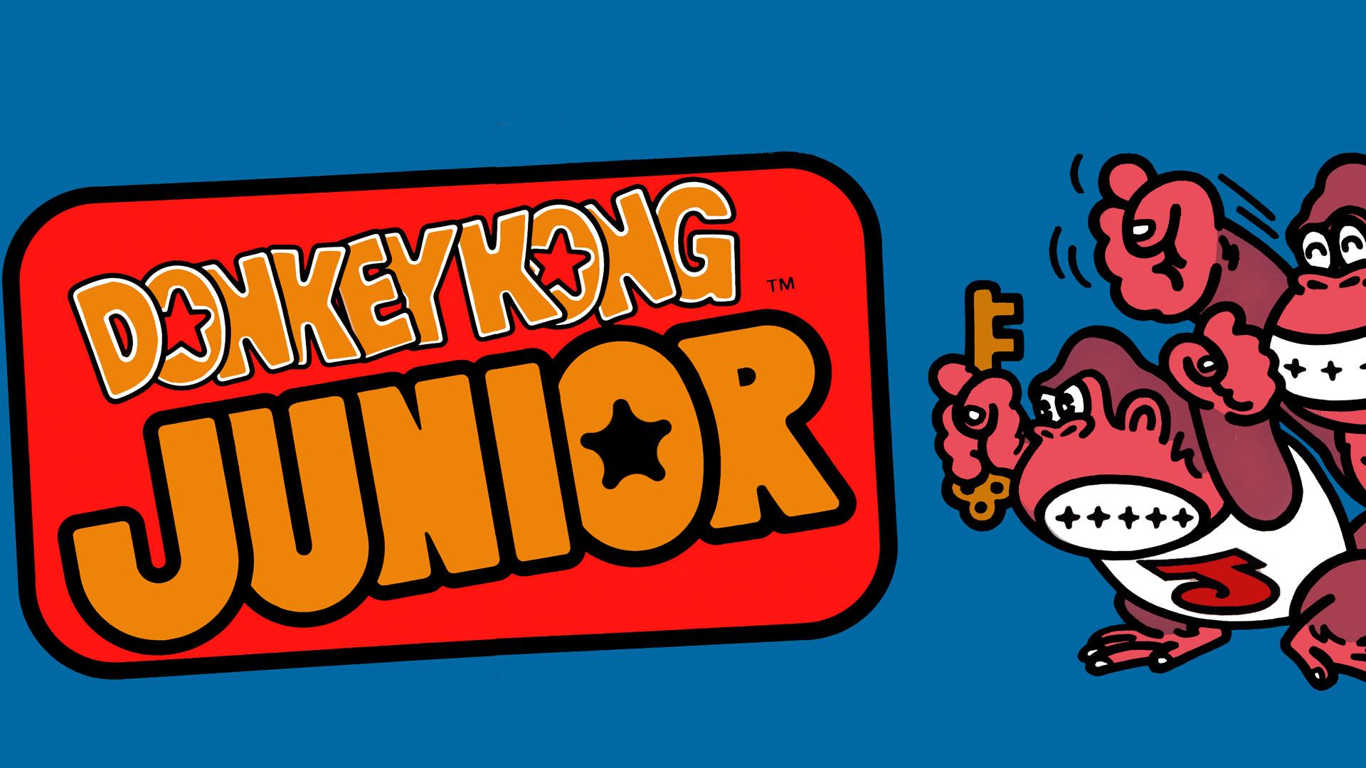 Donkey Kong Jr.