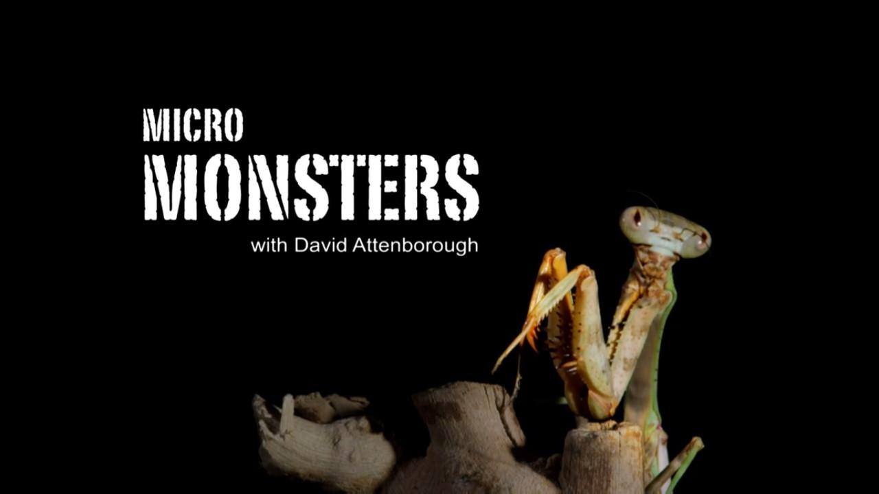 Micro Monsters with David Attenborough