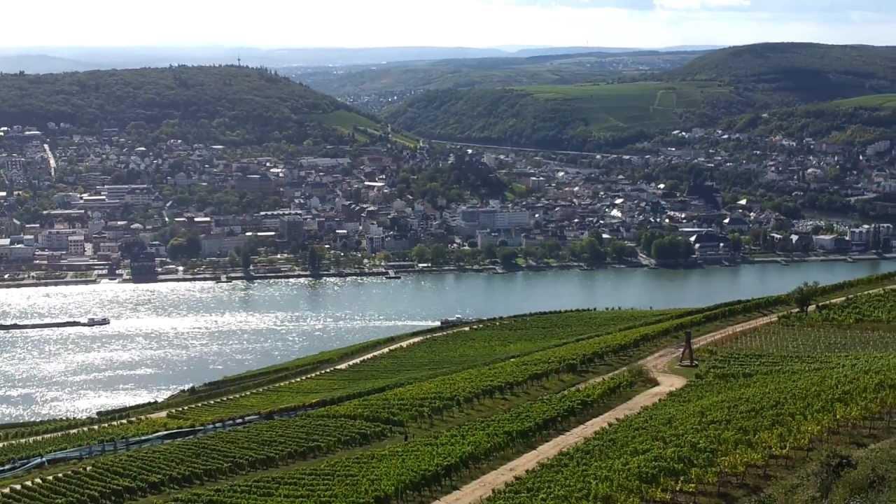 Wilder Rhein