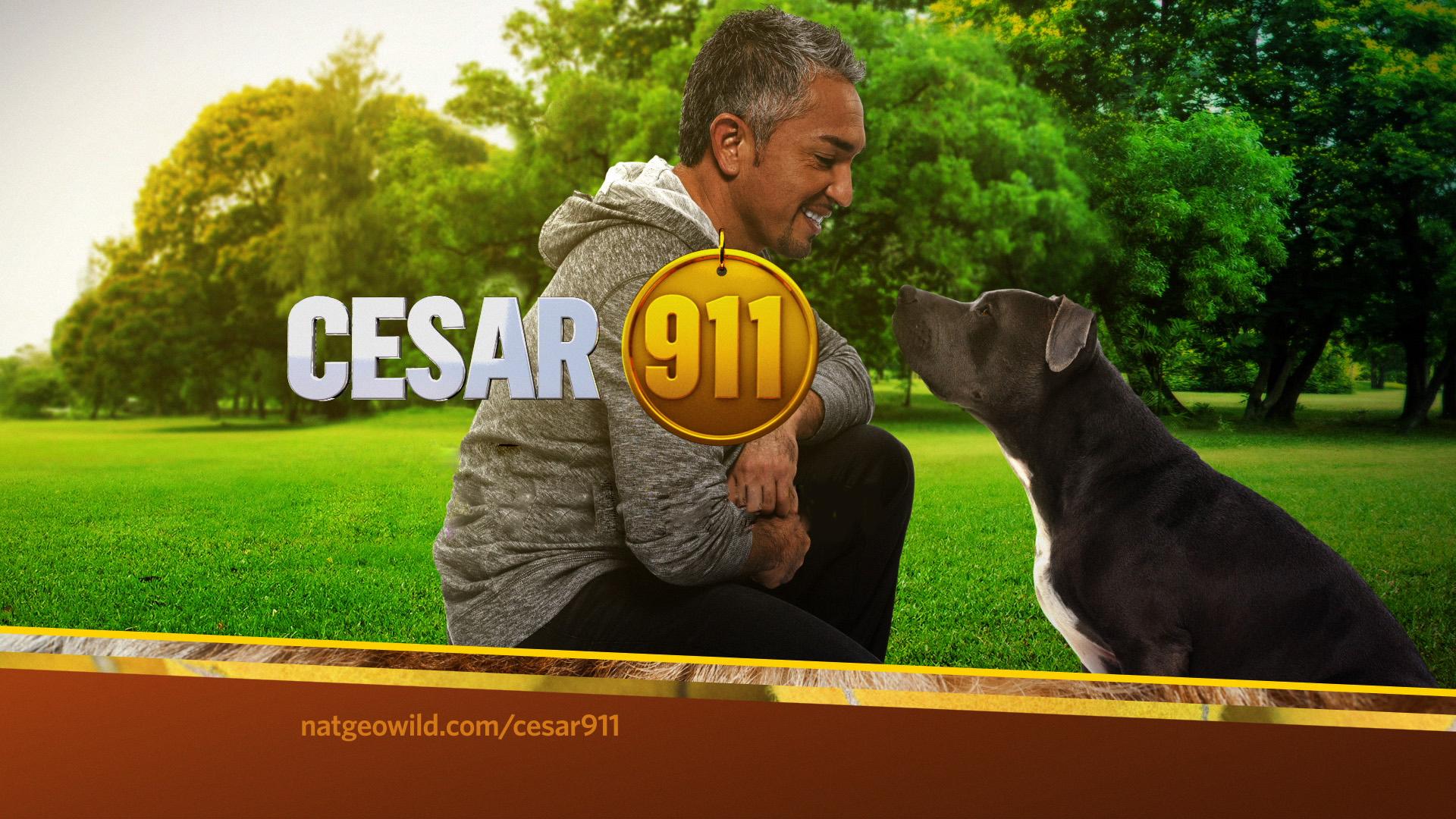 Cesar 911/ Cesar To The Rescue