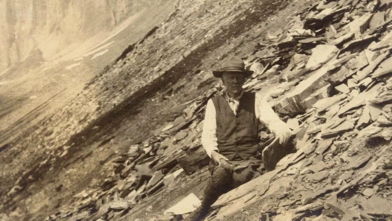 Fossil Wonderlands: Natures Hidden Treasures