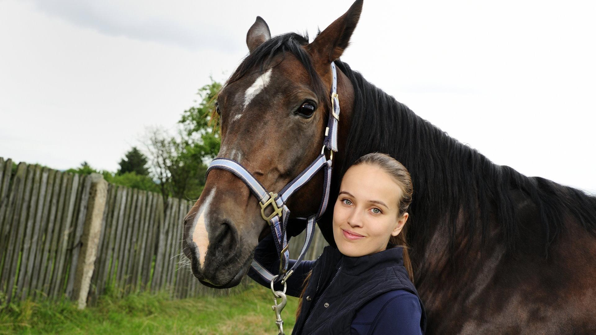 Sign of the Horse