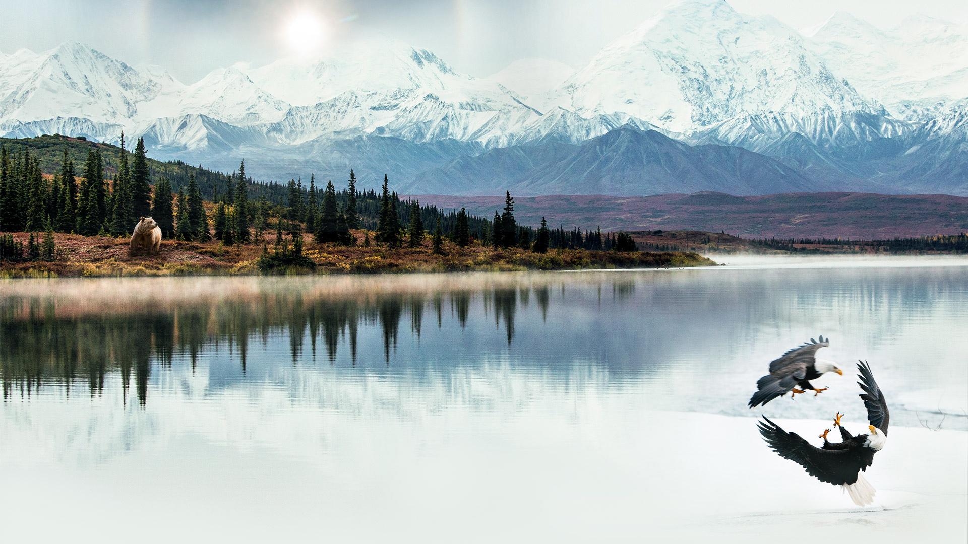 Alaska: Earth's Frozen Kingdom