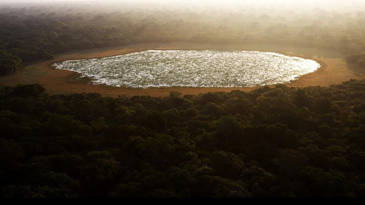 Wild Sri Lanka