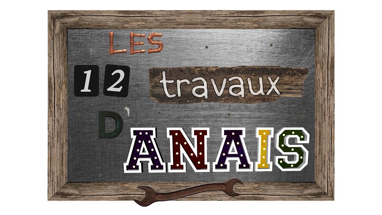 Les 12 travaux d'Anaïs