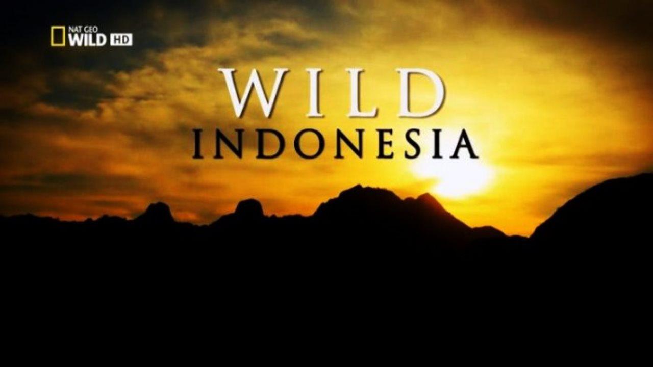 Wild Indonesia