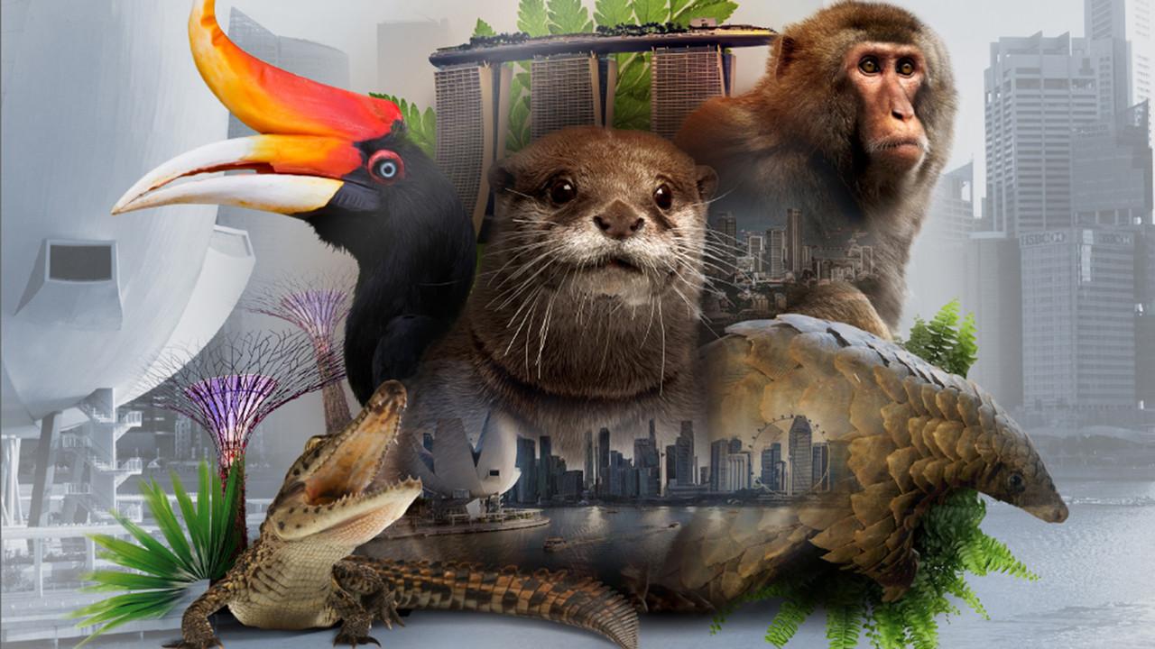 David Attenborough's Wild City