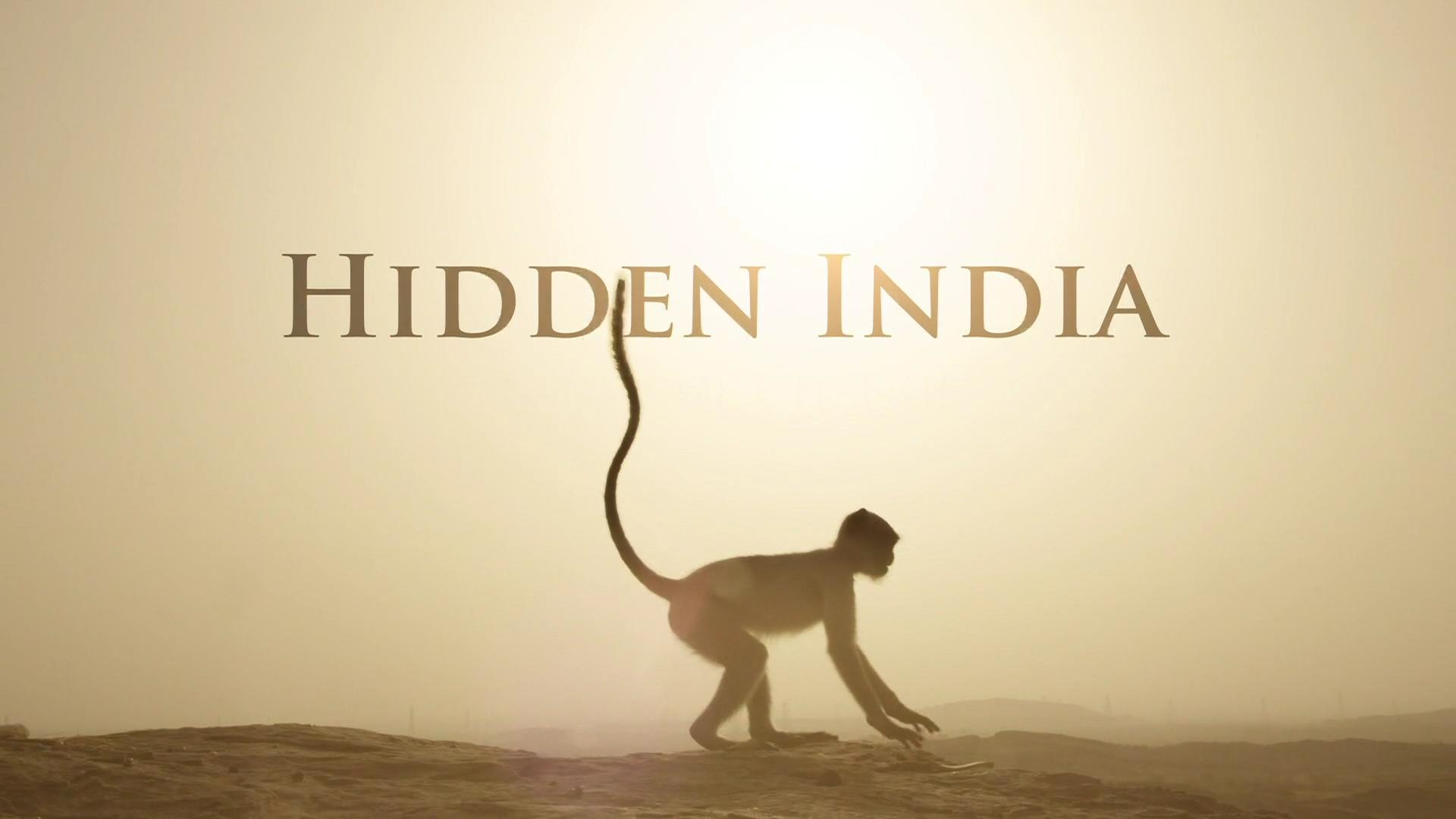 Hidden India