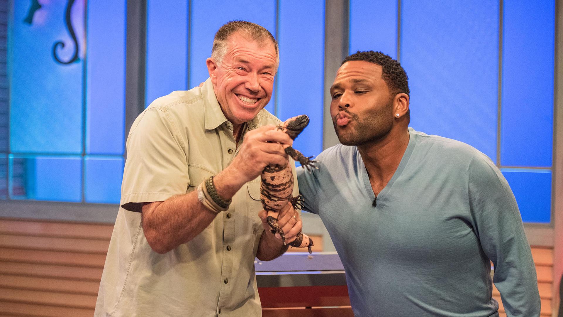 Animal Nation With Anthony Anderson