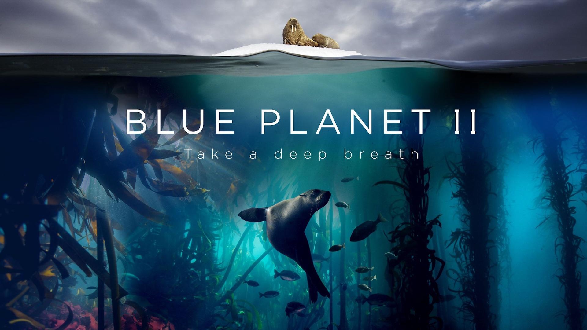 Blue Planet II