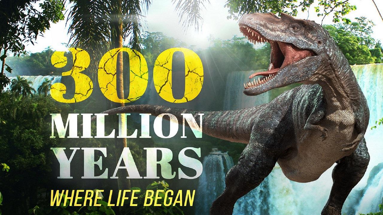 300 Million Years