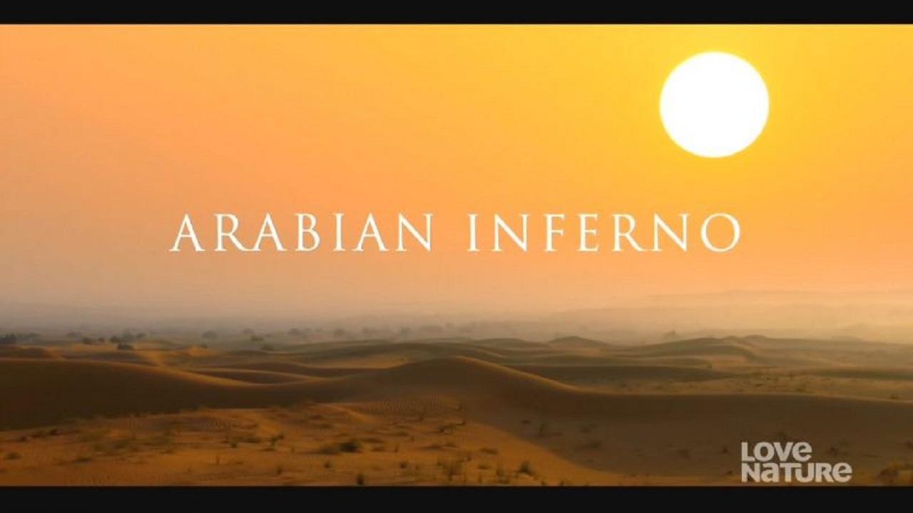 Arabian Inferno