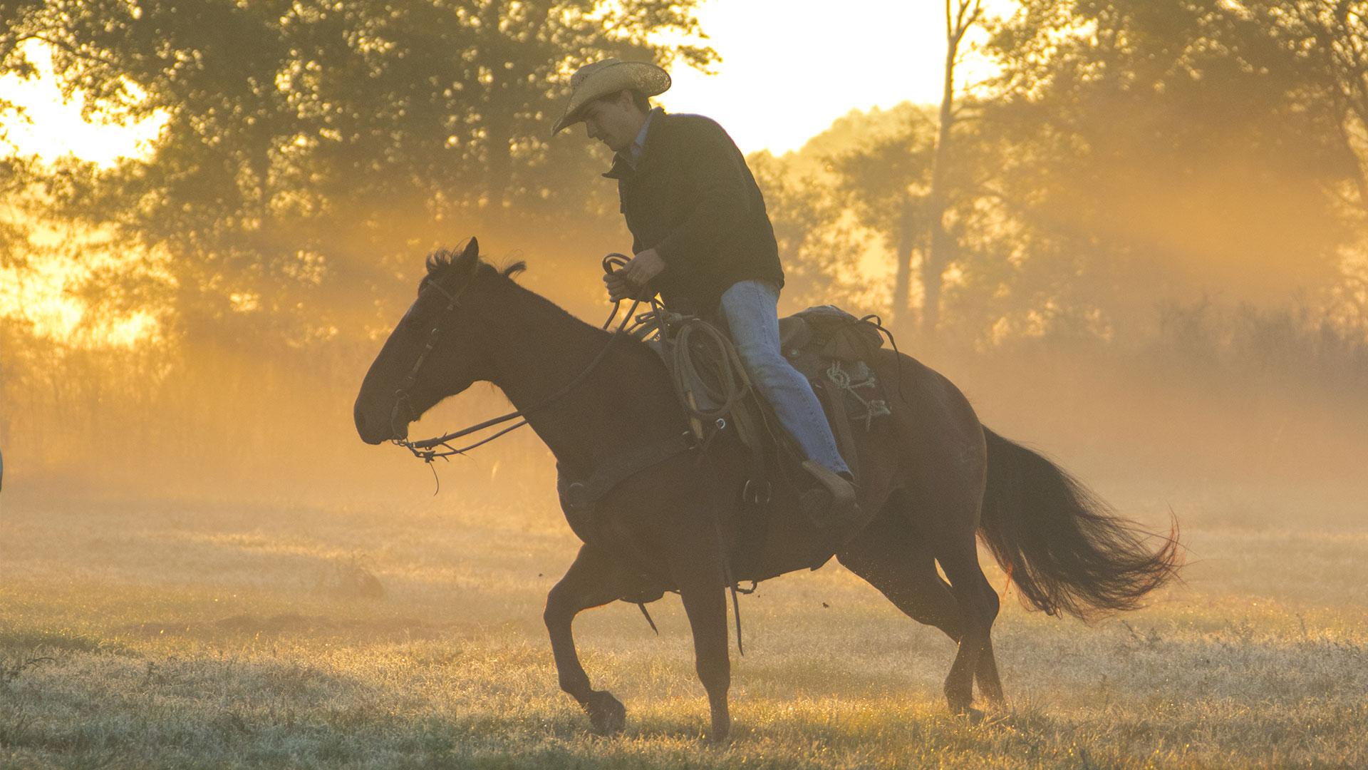 The Cowboy Way: Alabama