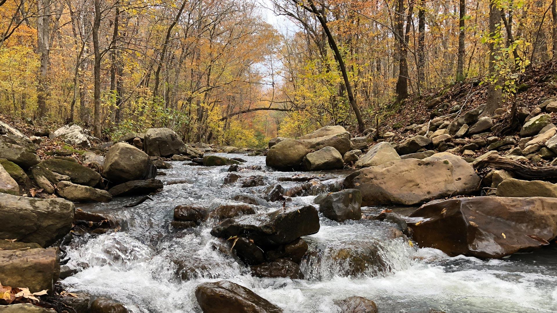 Exploring Arkansas