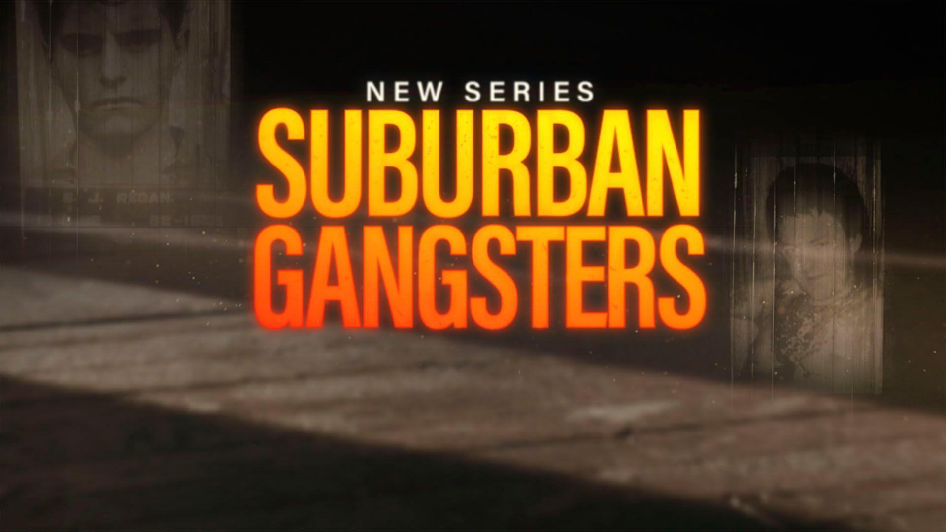 Suburban Gangsters