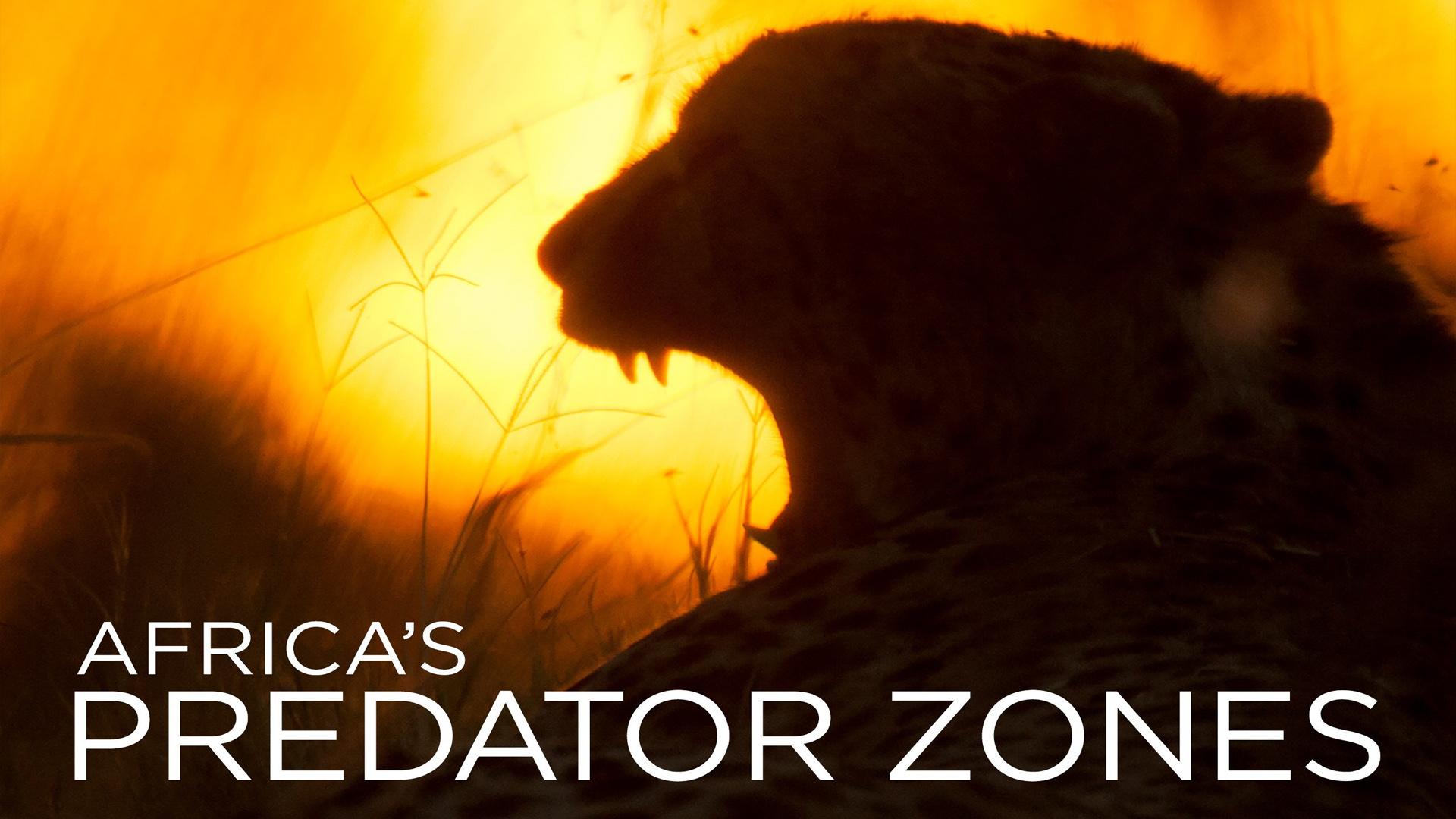 Africa's Predator Zones