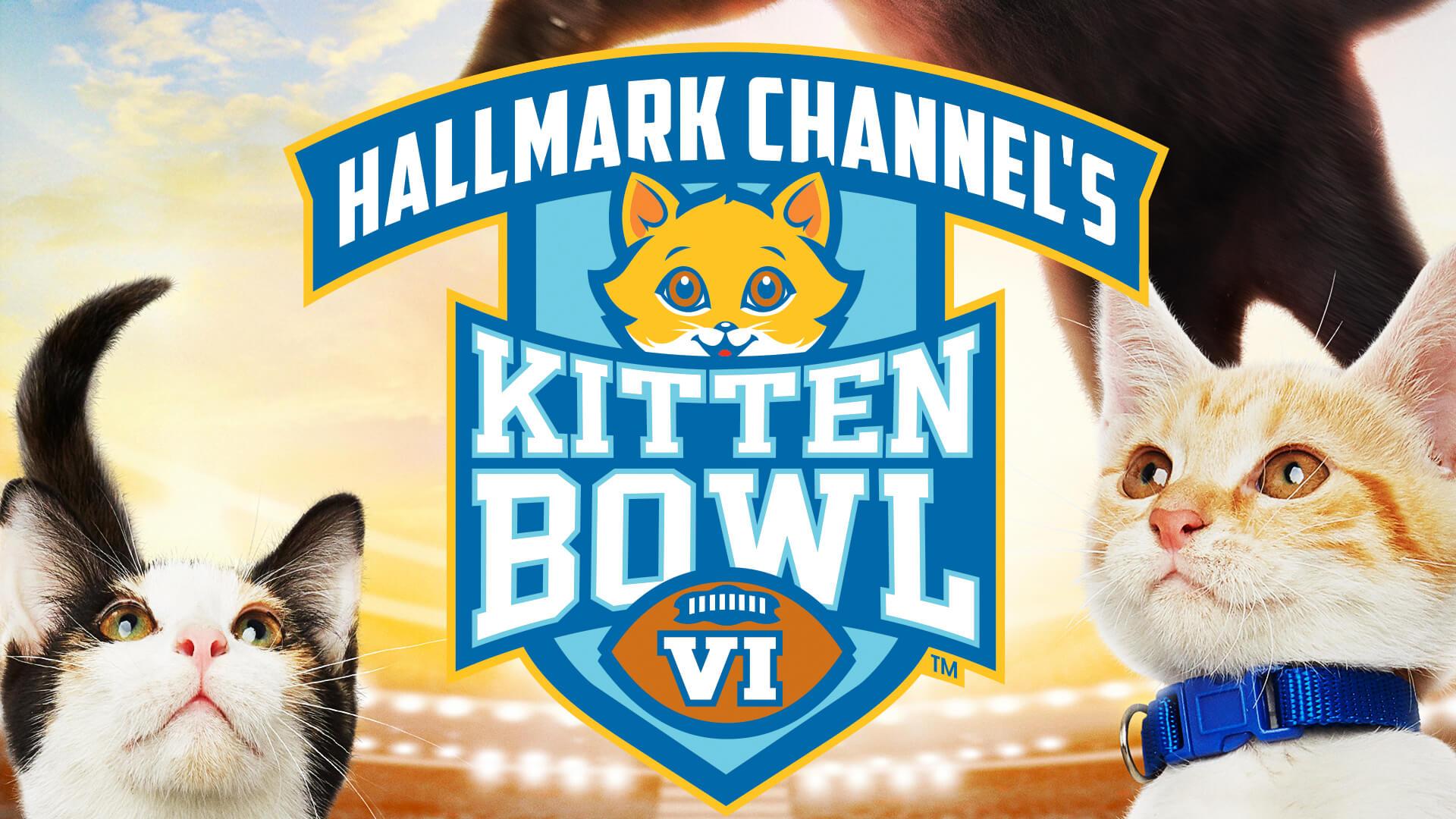 Kitten Bowl