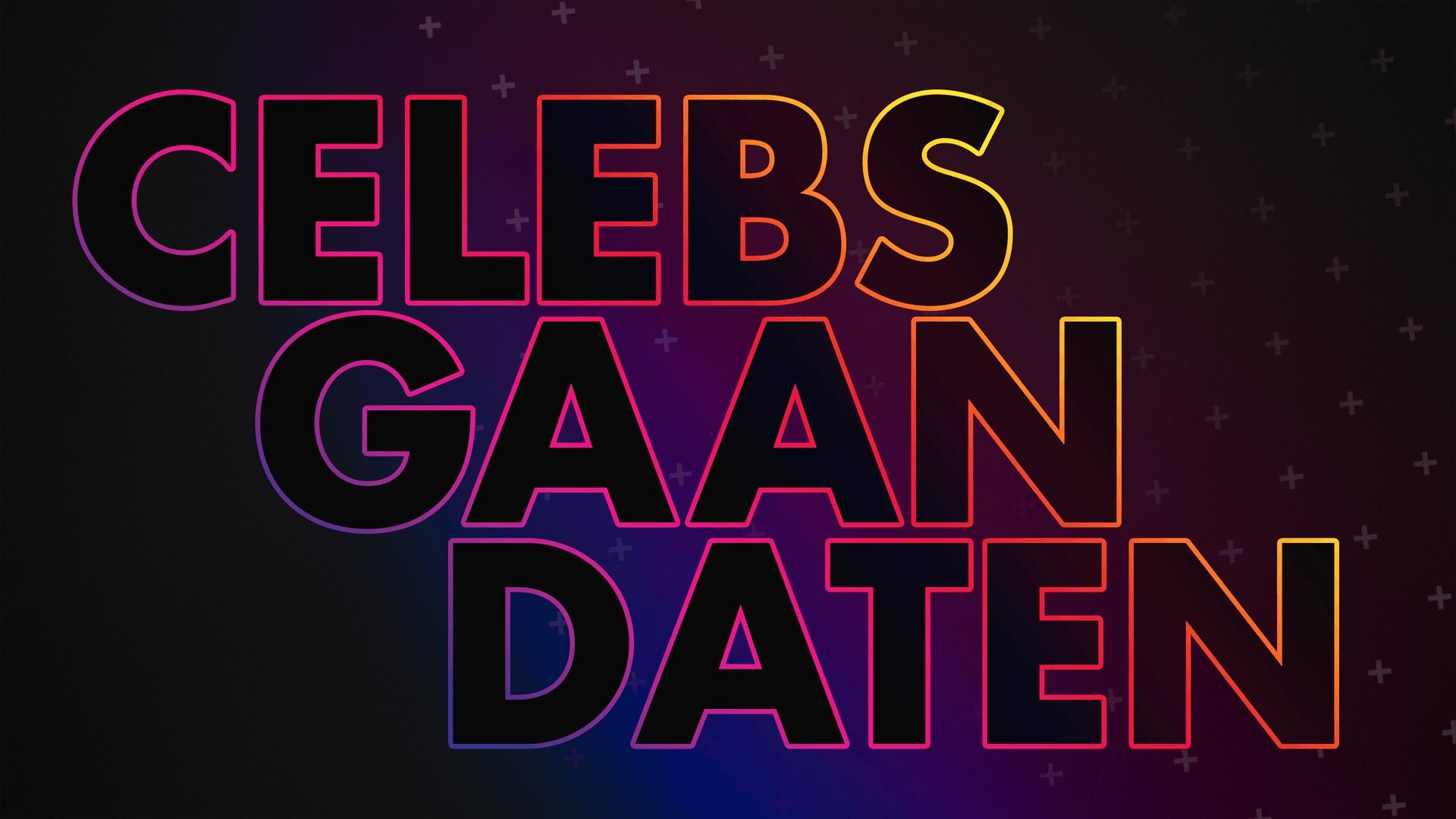 Celebs Go Dating (BE)