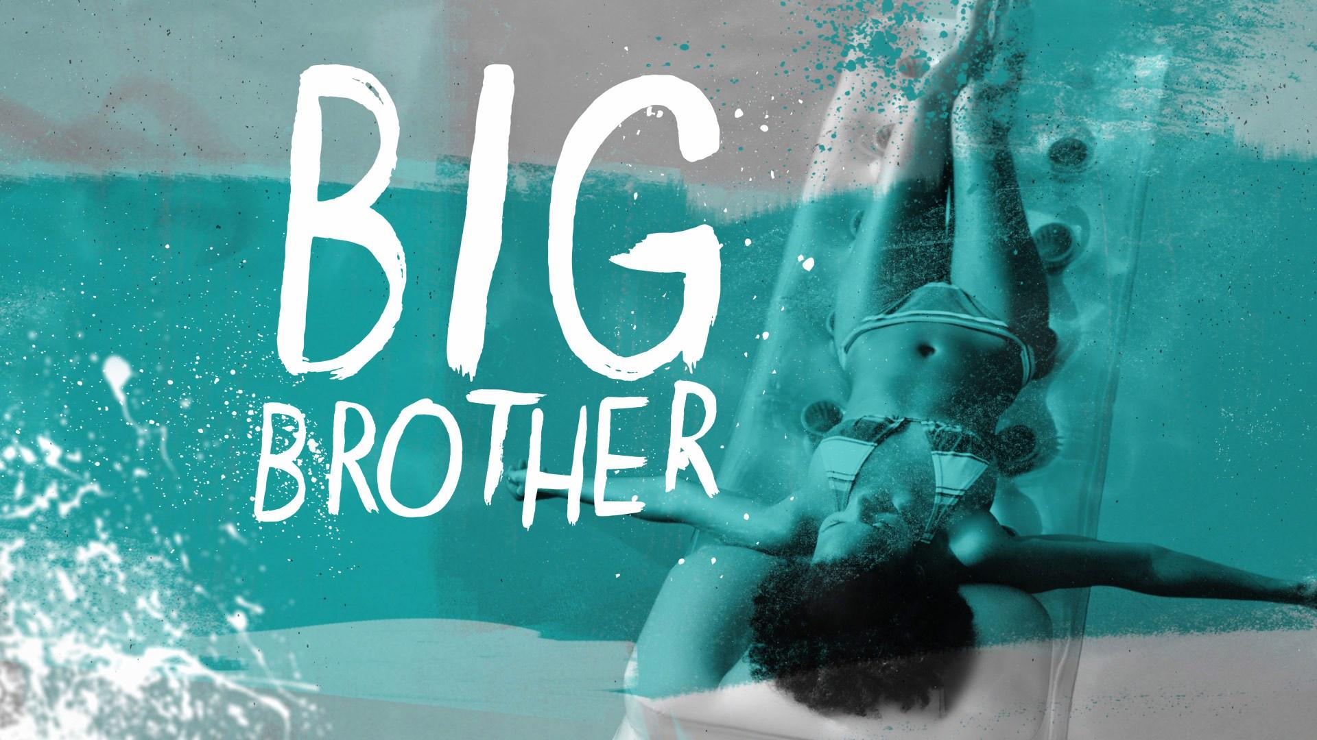 Big Brother (US)