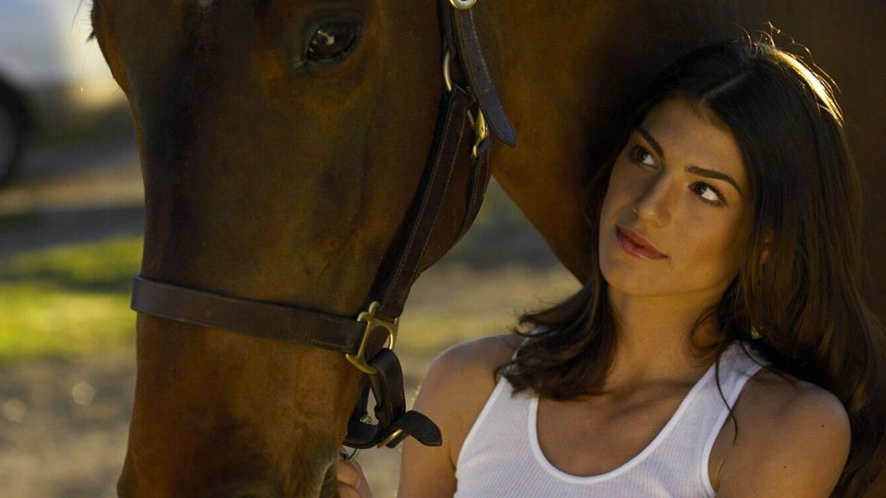 Wildfire (2005)