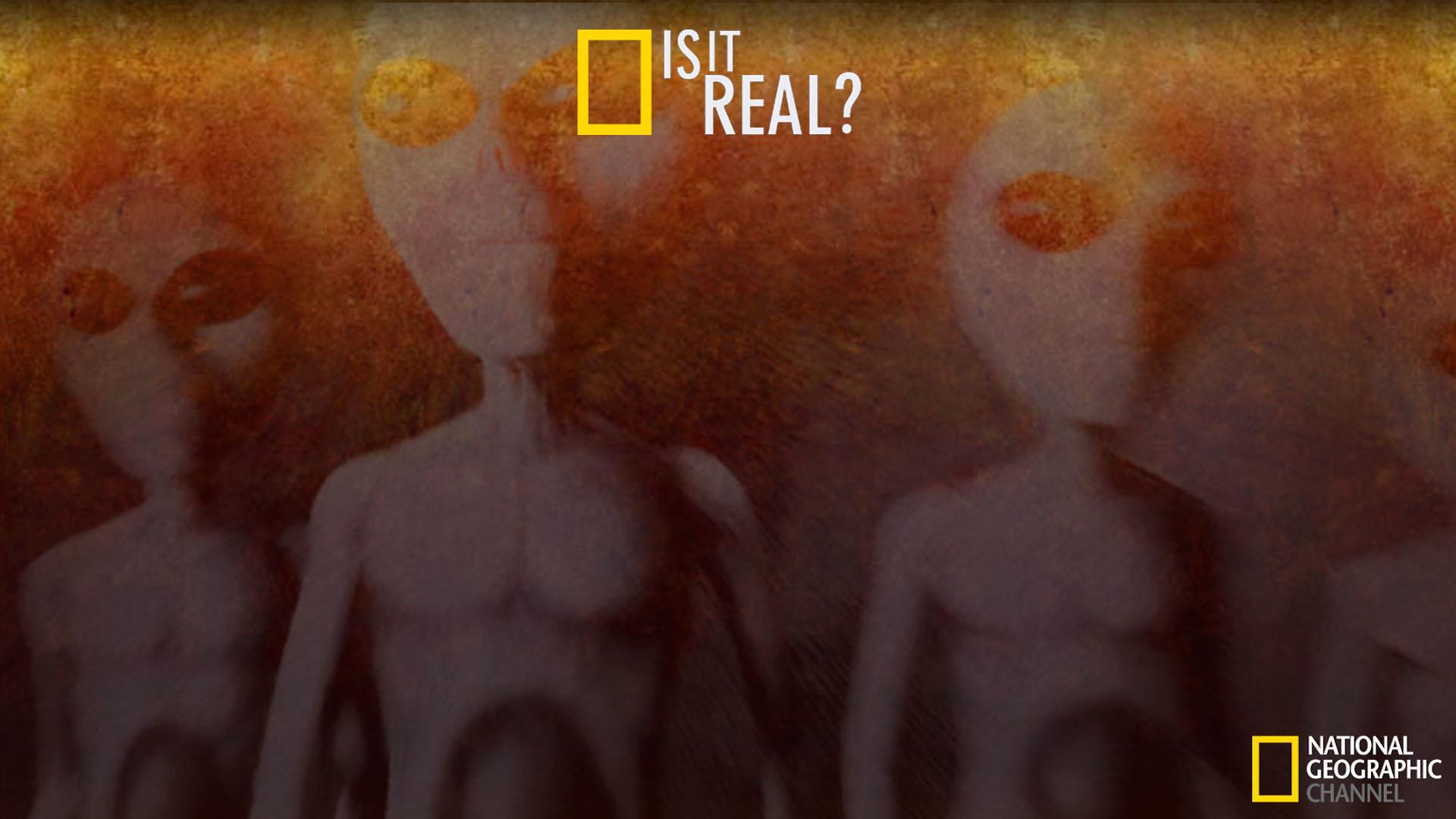 Is It Real?