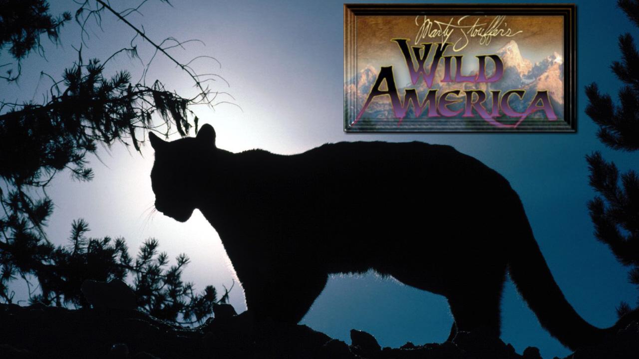 Marty Stouffer's Wild America