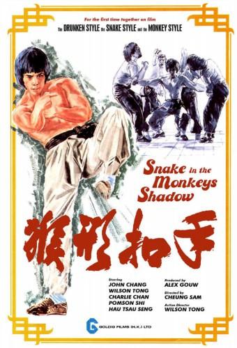 Snake in the Monkey's Shadow