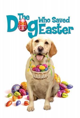 The Dog Who Saved Easter