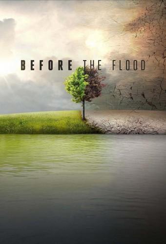 Before the Flood